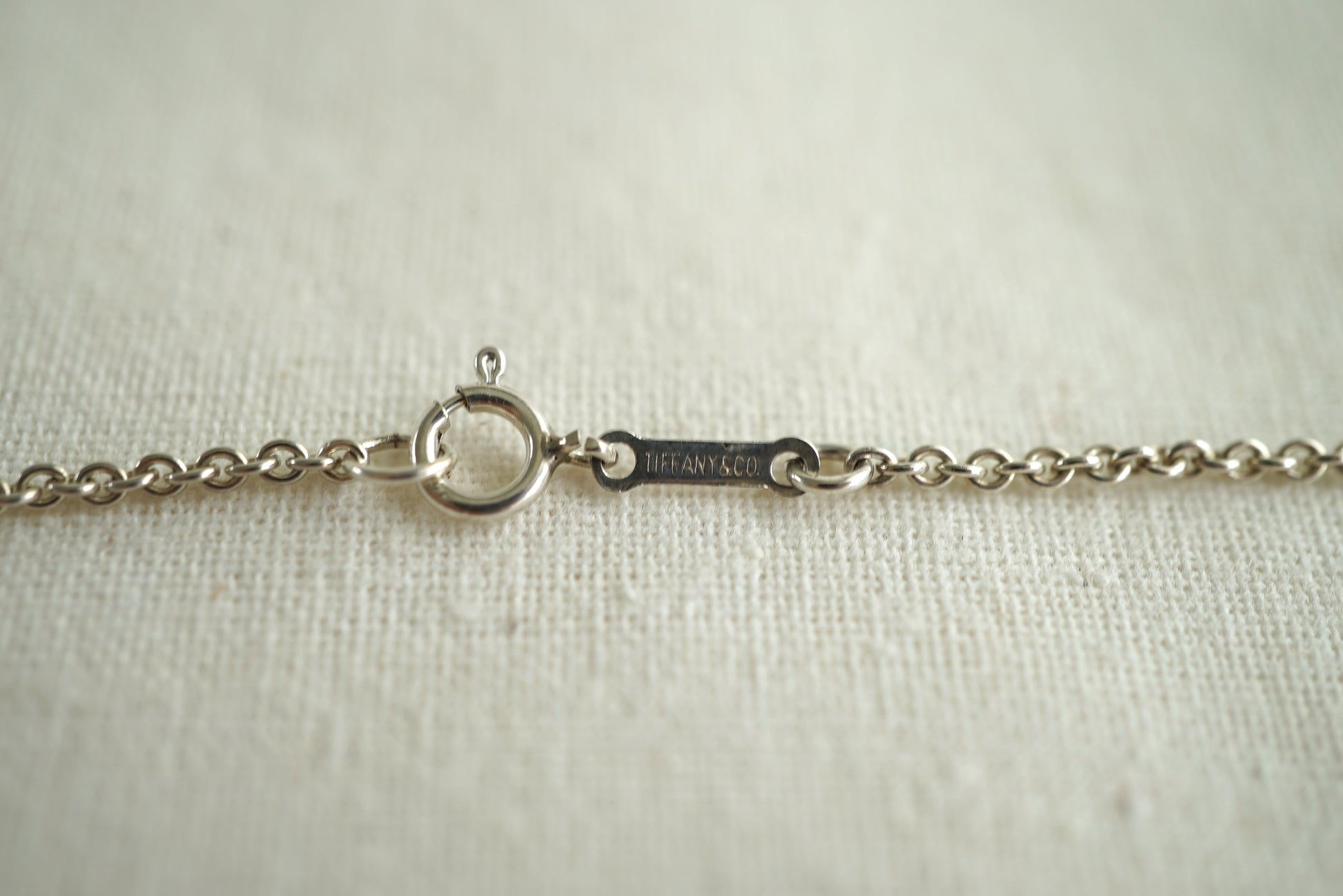 Tiffany & Co Apple 925 sterling silver Elsa Peretti necklace